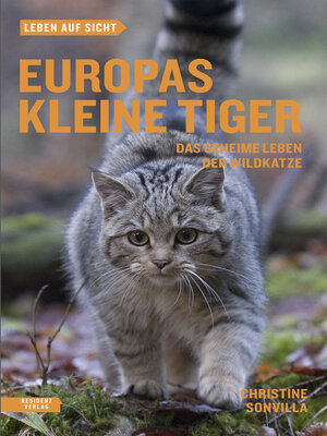 cover image of Europas kleine Tiger